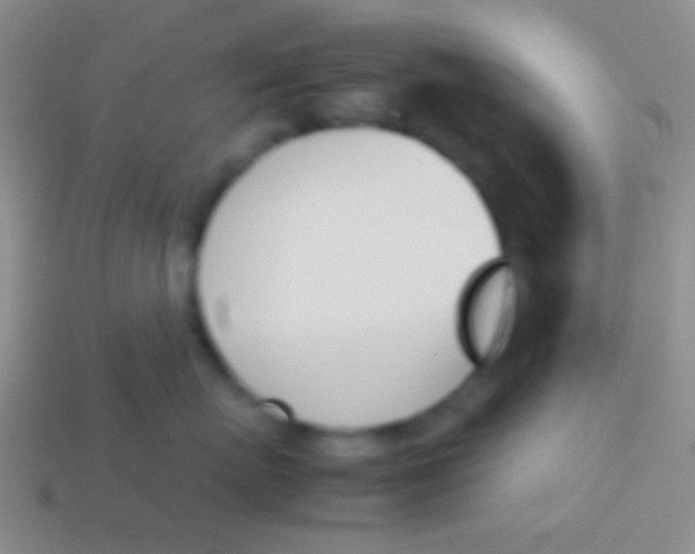 X0000114230767200910231504