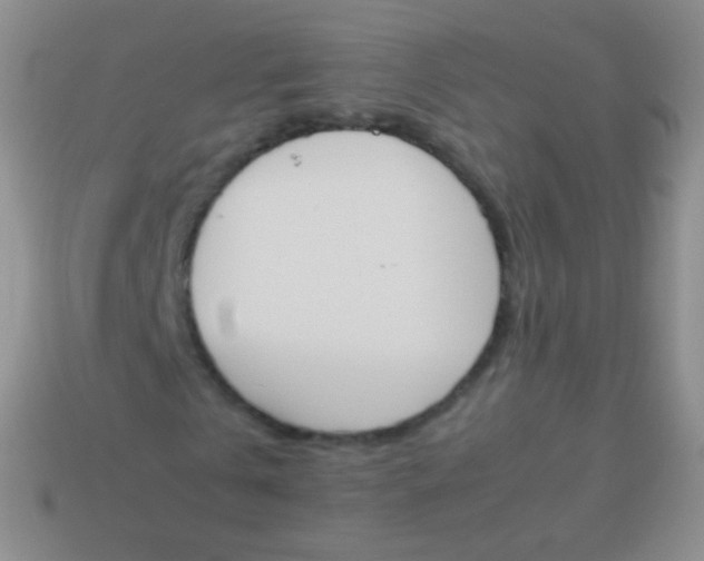 X0000114230769200910231503