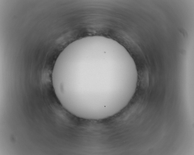 X0000114230770200910231503