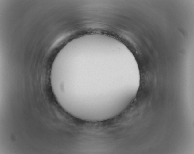 X0000114230775200910231503