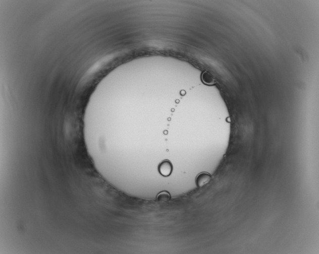 X0000114230776200910231503