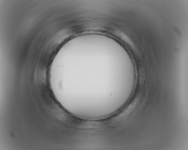 X0000114230777200910231503