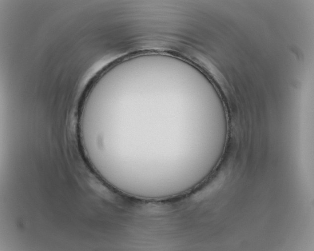 X0000114230779200910231503