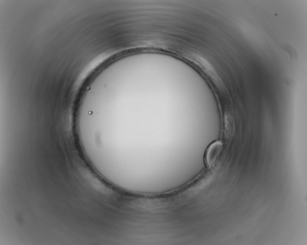 X0000114230780200910231503
