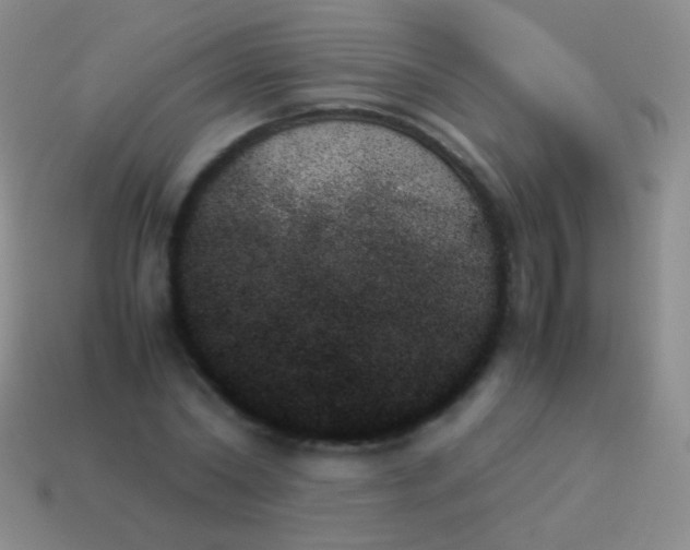 X0000114230782200910231503