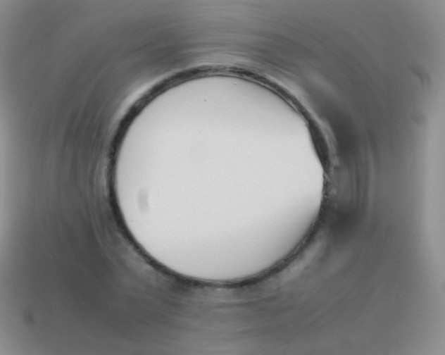 X0000114230783200910231503