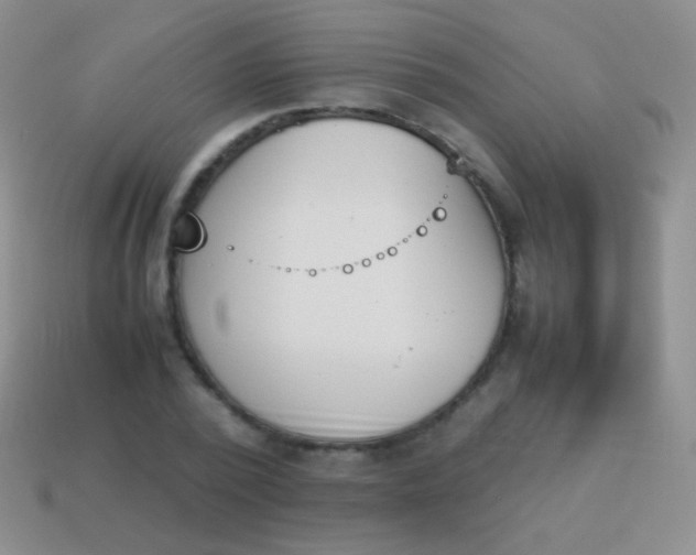 X0000114230784200910231503
