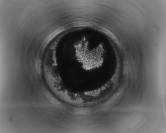 X0000114230786200910231503