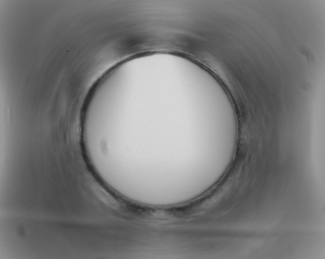 X0000114230787200910231503