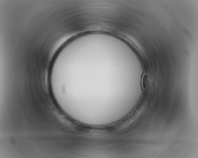 X0000114230788200910231503