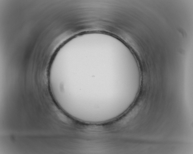 X0000114230789200910231503
