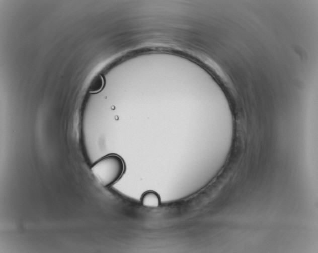 X0000114230791200910231503