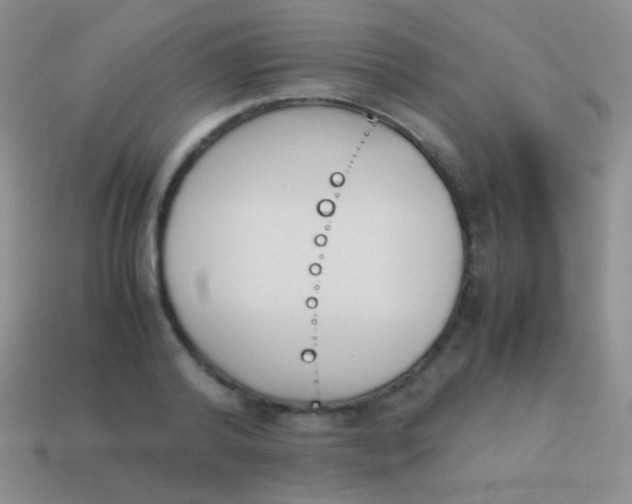 X0000114230792200910231503