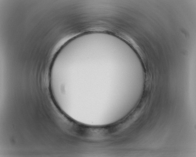 X0000114230795200910231503