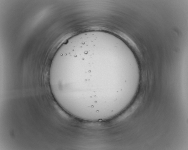X0000114230801200910231503