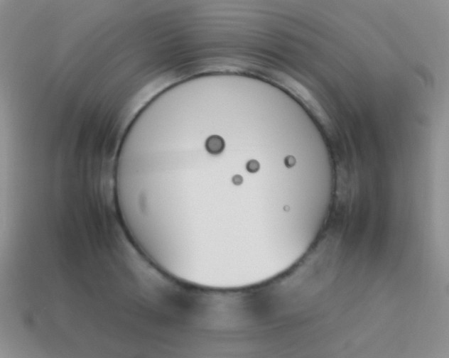 X0000114230802200910231503