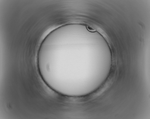 X0000114230803200910231503