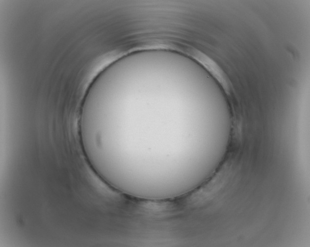 X0000114230805200910231503