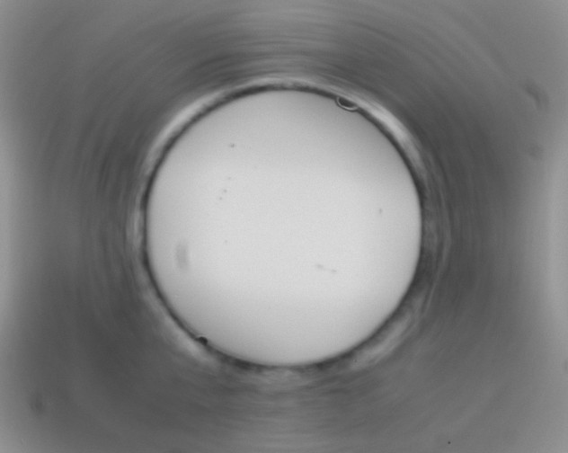 X0000114230807200910231502