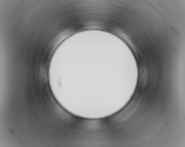 X0000114230810200910231502
