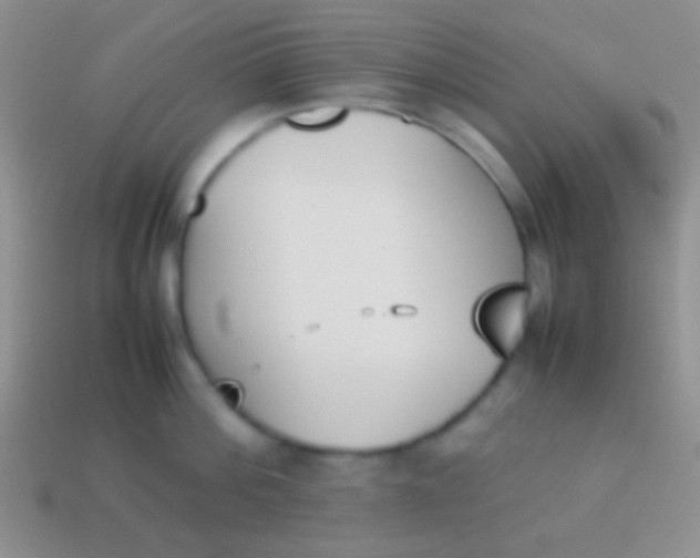 X0000114230812200910231502