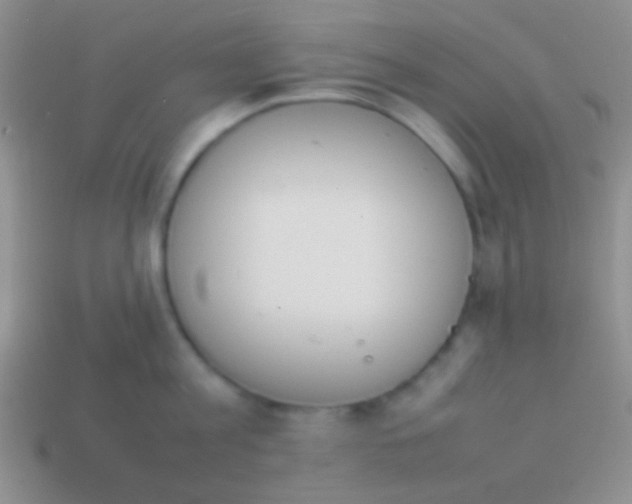 X0000114230813200910231502