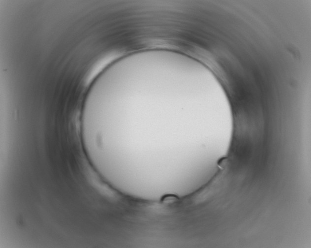 X0000114230814200910231502