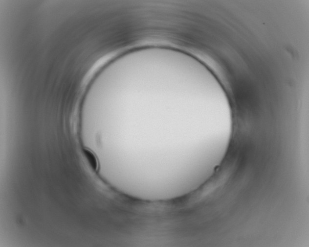 X0000114230815200910231502