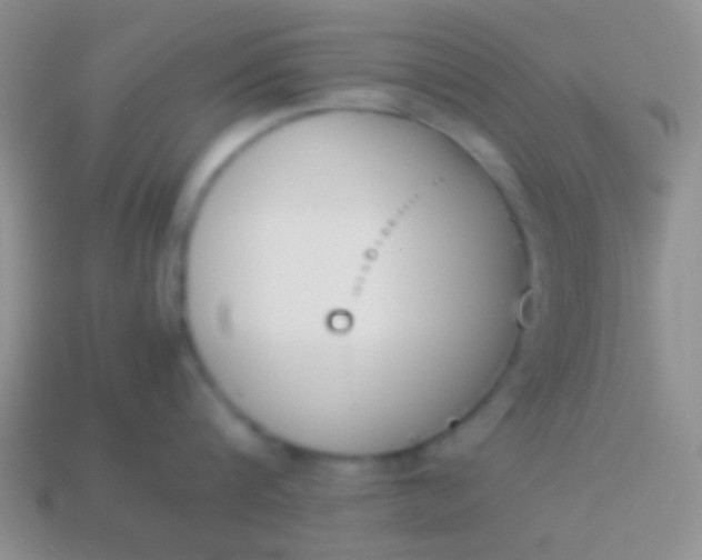 X0000114230816200910231502