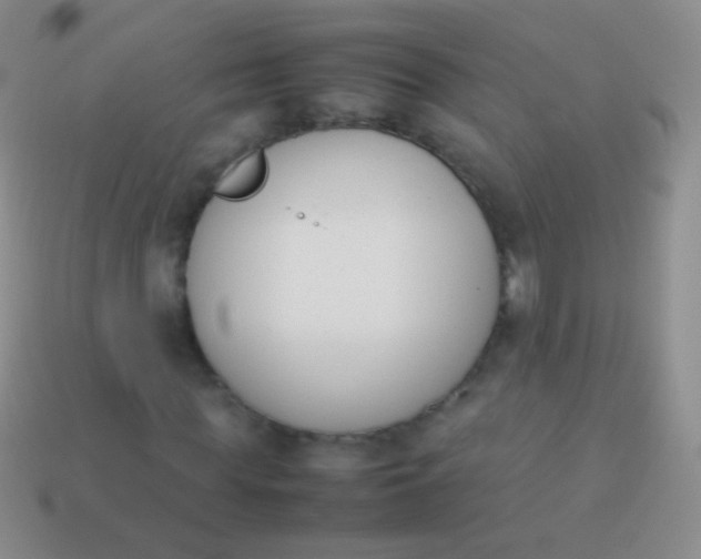 X0000114230819200910231502