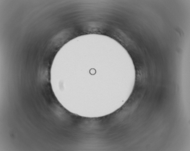 X0000114230820200910231502