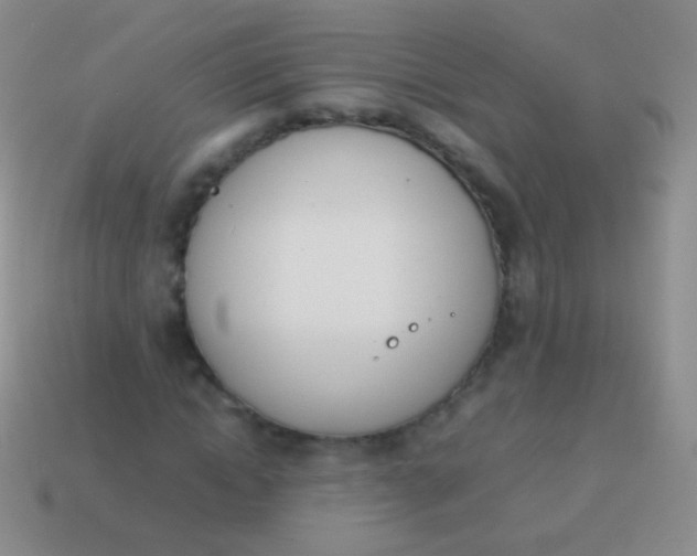 X0000114230822200910231502