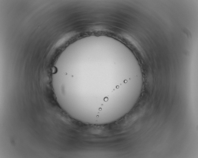 X0000114230823200910231502