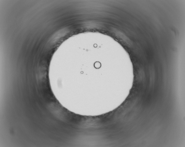 X0000114230824200910231502