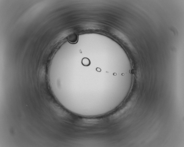X0000114230825200910231502