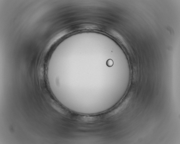 X0000114230827200910231502