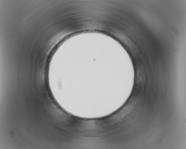 X0000114230828200910231502