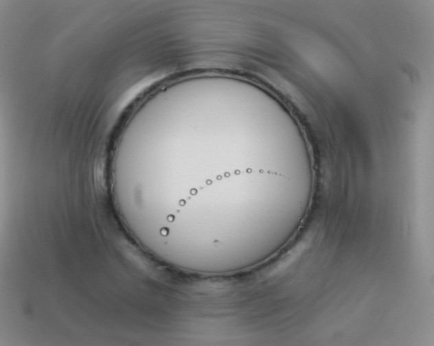 X0000114230830200910231502
