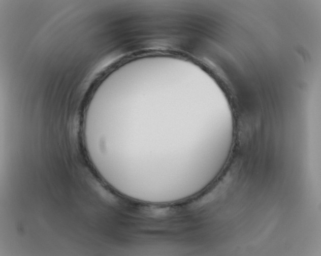 X0000114230831200910231502