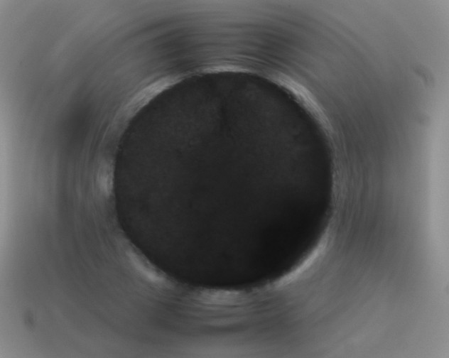 X0000114230833200910231502