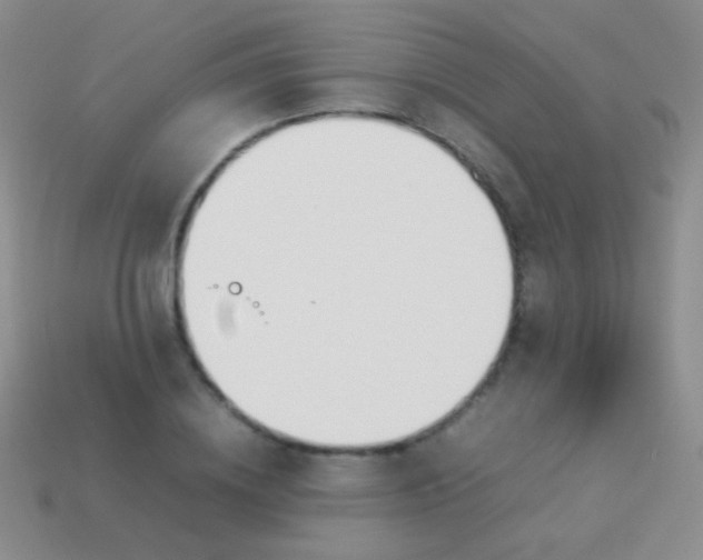 X0000114230836200910231502