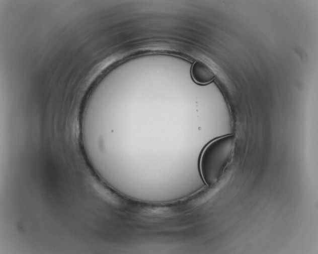 X0000114230837200910231502