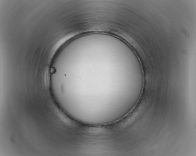 X0000114230838200910231502