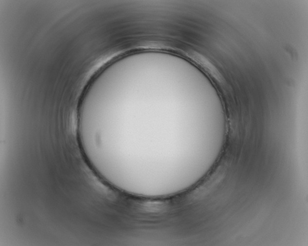 X0000114230839200910231502