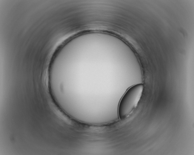 X0000114230840200910231502