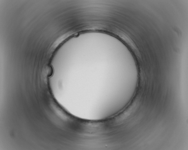 X0000114230842200910231502