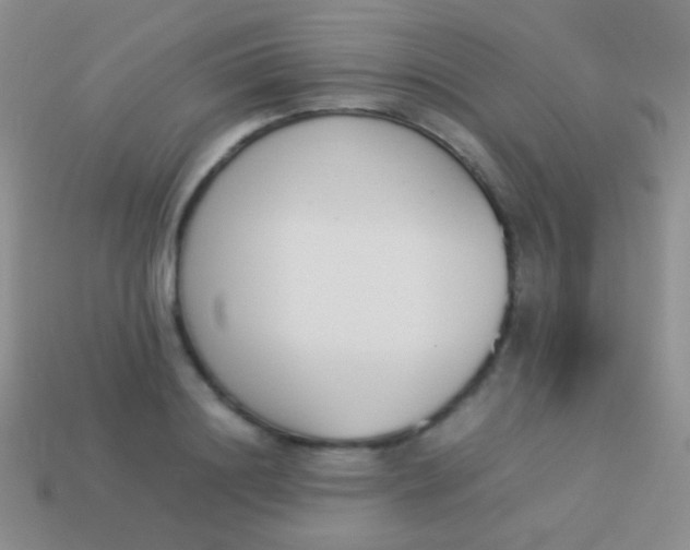 X0000114230844200910231502