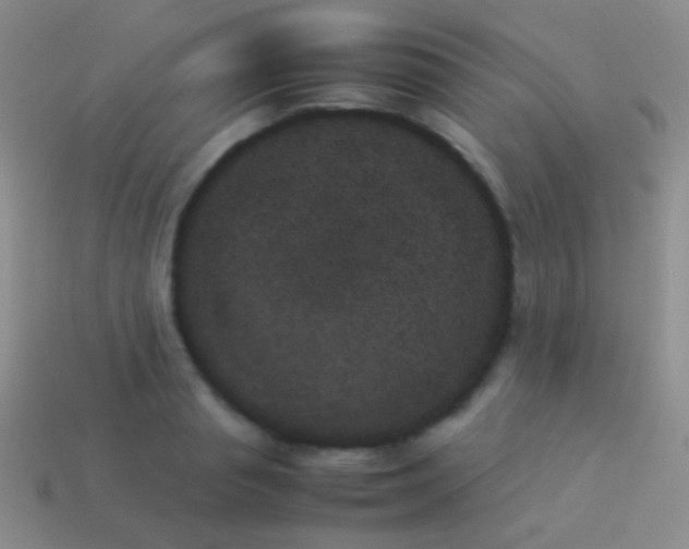 X0000114230845200910231502