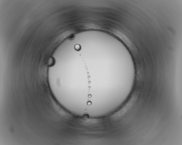 X0000114230849200910231502