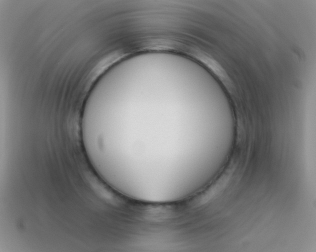 X0000114230850200910231502